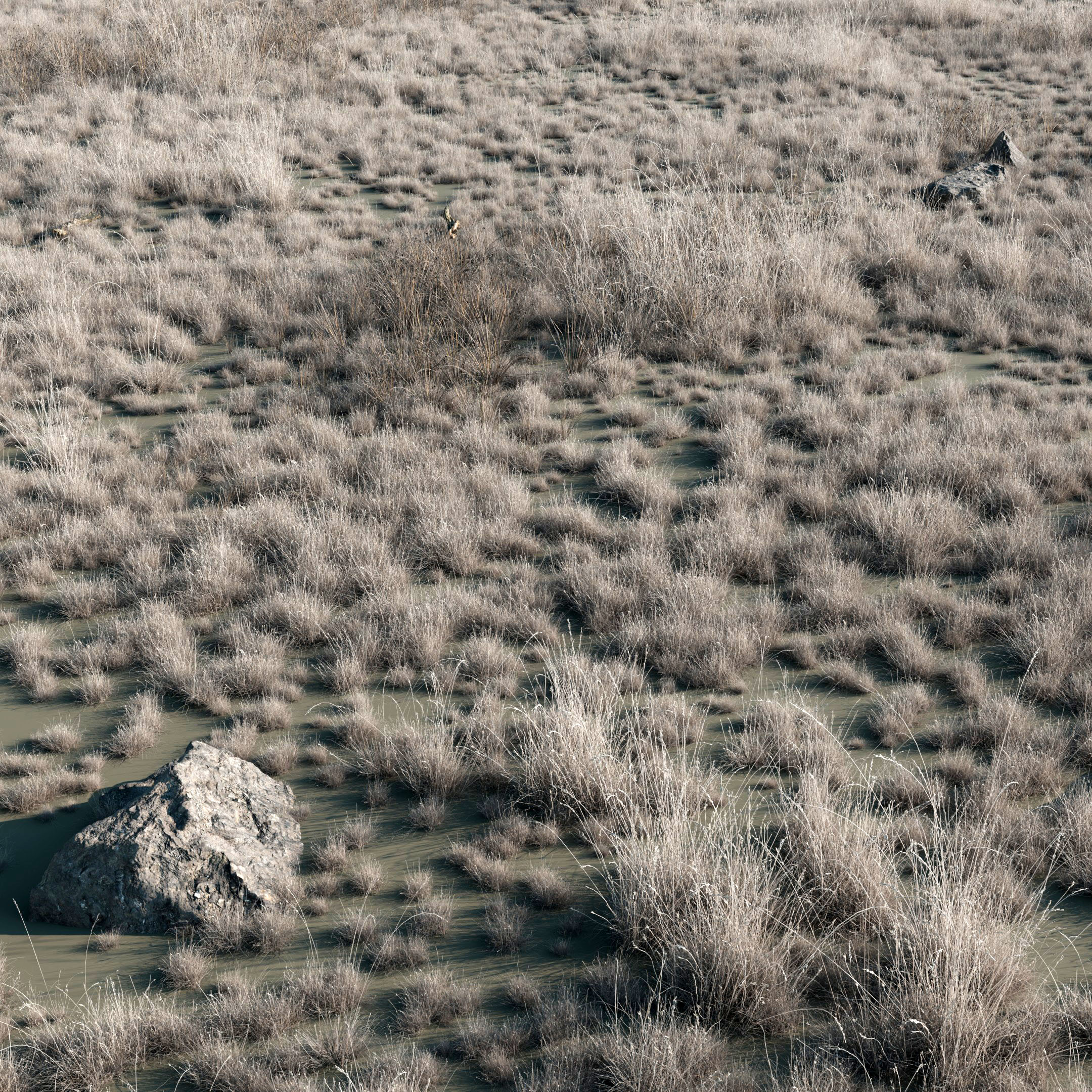 Wasteland